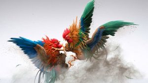 Tham gia đá gà kubet88 nhận ngay nhiều phân quà hấp dẫn